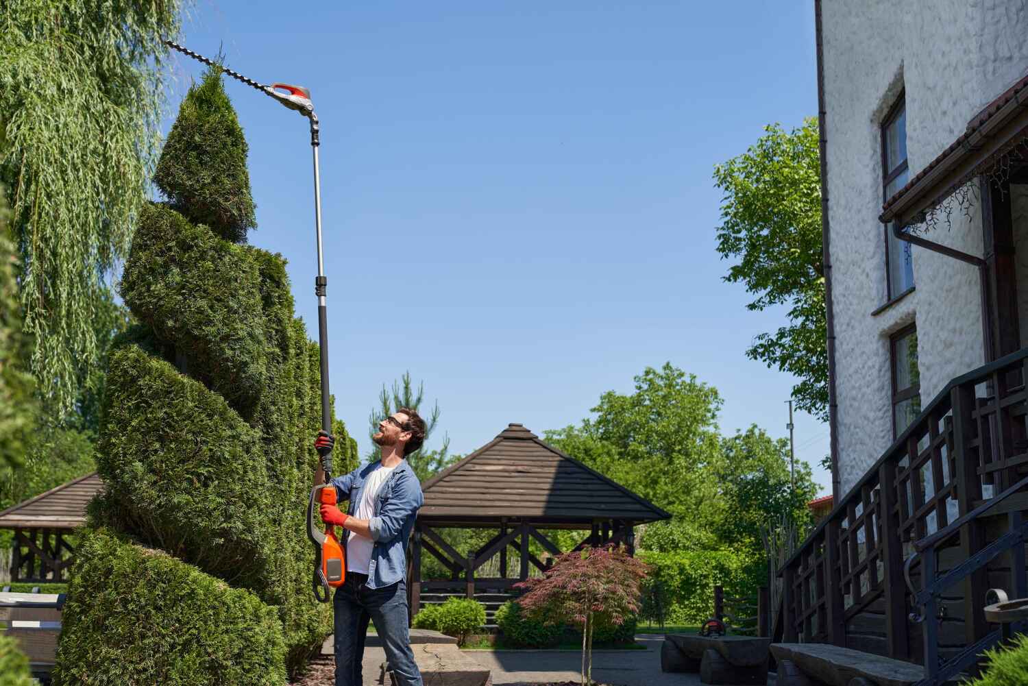 Large Tree Removal in Tuolumne City, CA